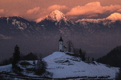 Jamnik