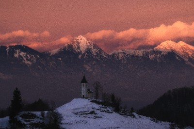 Jamnik
