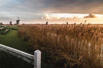 Kinderdijk