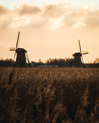 Kinderdijk