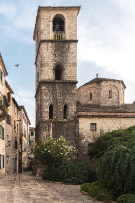 Kotor