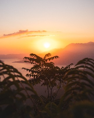 Kotor
