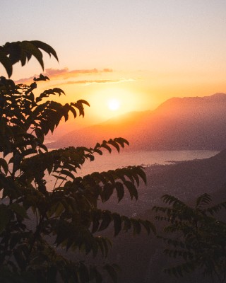 Kotor