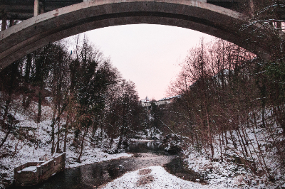 Kranj