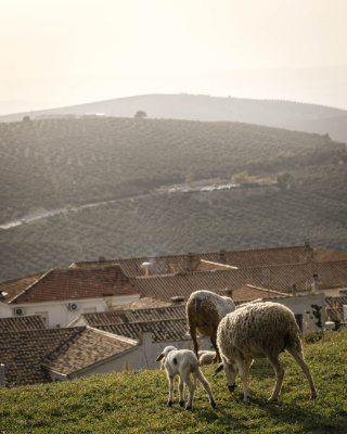 La Iruela