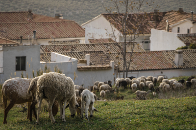 La Iruela