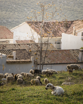 La Iruela