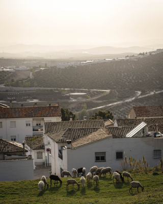 La Iruela