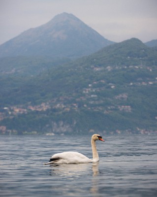 Lago Di Domo