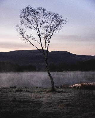 Loch duntelchaig