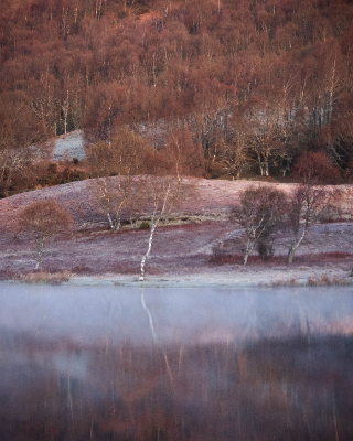 Loch duntelchaig