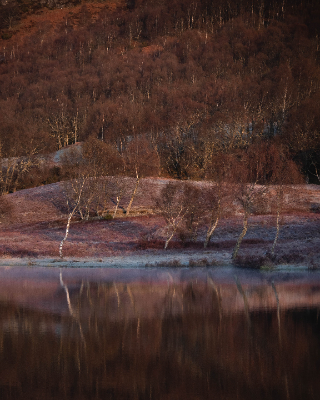 Loch duntelchaig