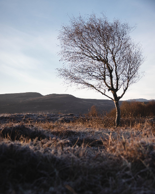 Loch duntelchaig