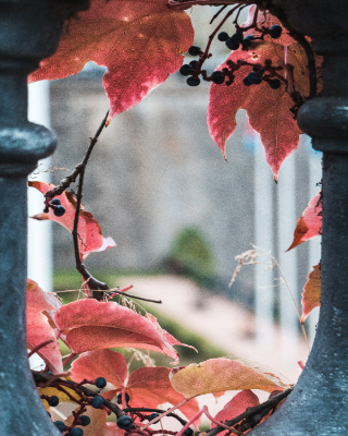 Luxembourg