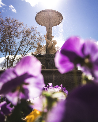 Madrid