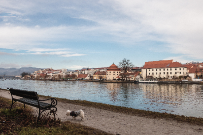 Maribor