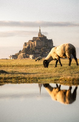 Mont St. Michel