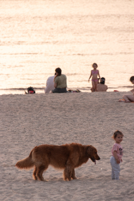 Montevideo