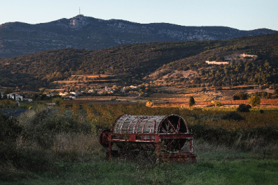 Montpeyroux