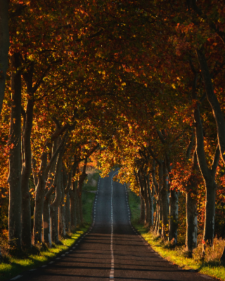 Montpeyroux, France