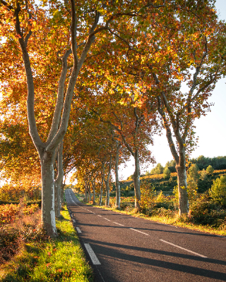 Montpeyroux, France