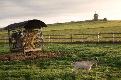 Moulin de Moidrey
