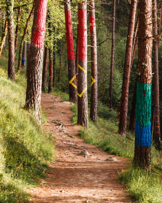Woodlands