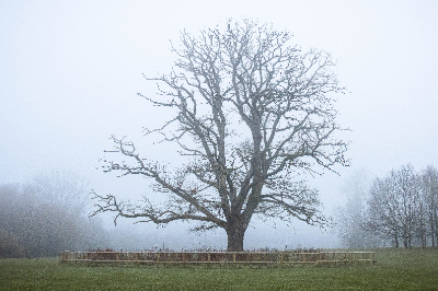Oxford