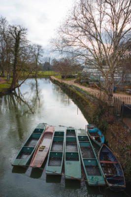 Oxford