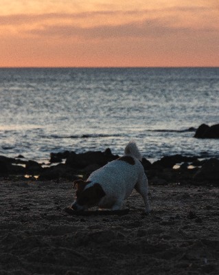 Playa Verde