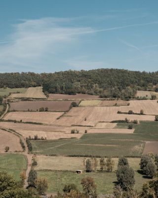 Polignac