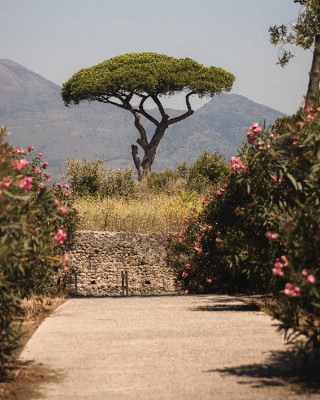Pompeii