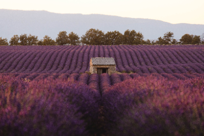 Puimoisson, France