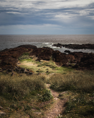 Punta del Este