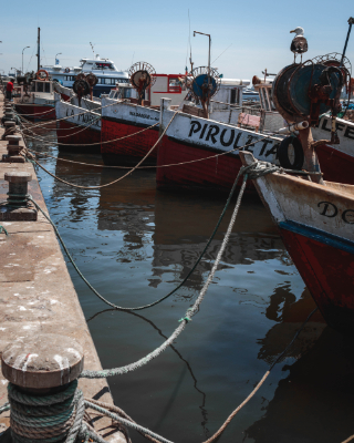 Punta del Este