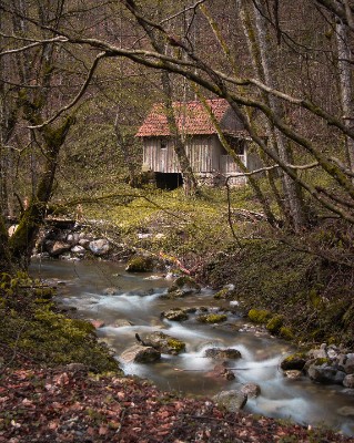 Rača Monastery