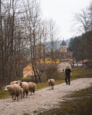 Rača Monastery