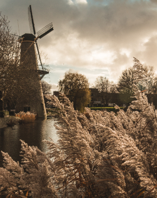 Rotterdam