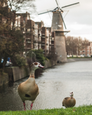 Rotterdam