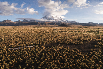 Sajama National Park