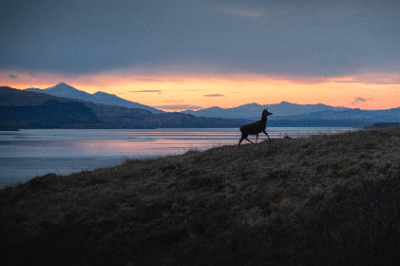 Isle of Mull, Scotland
