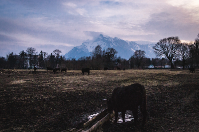 Salzburg