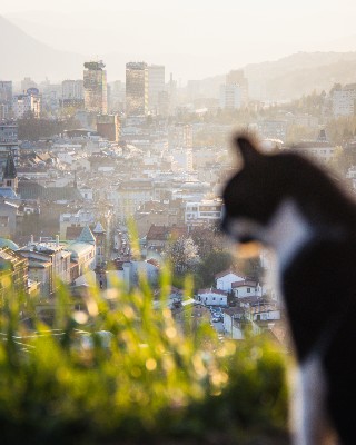 Sarajevo