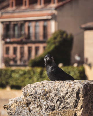 Segovia
