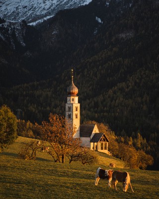 Siusi