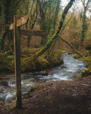 St. Nectan's Glen