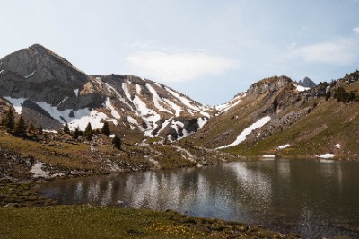 Sulsseeli