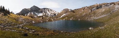 Sulsseeli