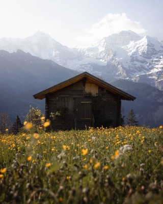 Sulwald