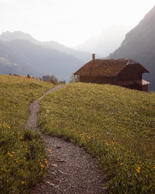 Sulwald